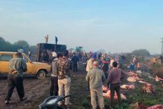 volco un camion con vacas y vecinos faenaron los animales en la ruta