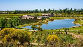 Durigutti Family Winemakes volvió a ser la mejor bodega argentina en el listado de The Worlds Best Vineyards 2025. Durigutti Family Winemakes volvió a ser la mejor bodega argentina en el listado de The Worlds Best Vineyards 2025.