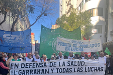 Manifestantes en defensa del Hospital Garrahan marchando al Congreso de la Nación.