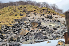 Crédito: Lily0727K Twitter