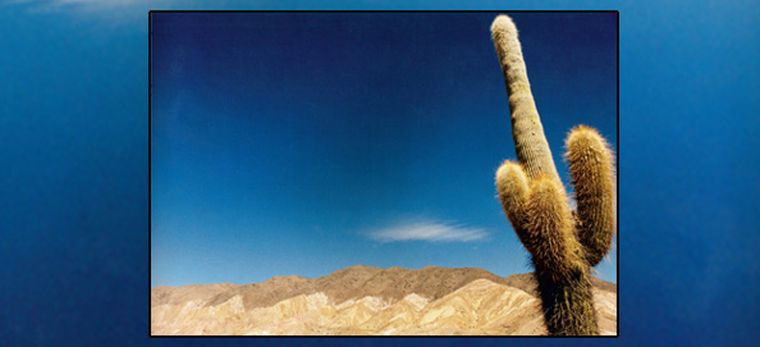 Testigo del Tiempo Foto: Raúl Ahumada