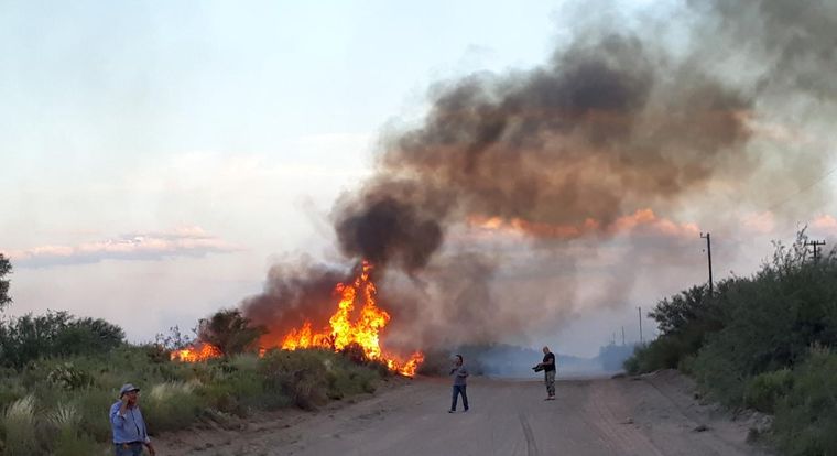 Foto: Municipalidad de San Rafael