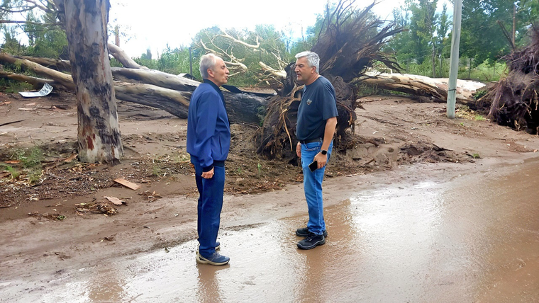 San Martín - Daños tormenta San Martín - Daños tormenta