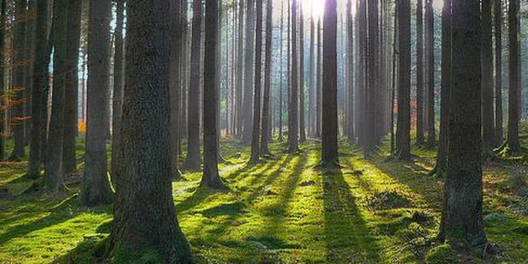 Foto: Flickr