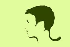 Test de personalidad