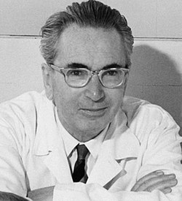 Viktor Frankl. Fuente: Wikipedia. Viktor Frankl. Fuente: Wikipedia.