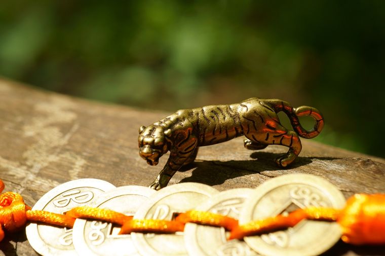 Esto le espera a cada signo según la astrología china Foto: Shutterstock