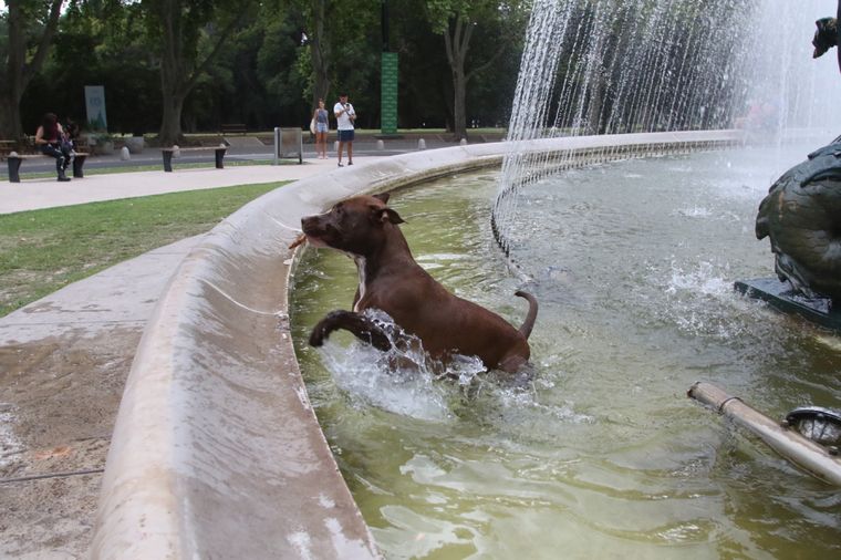 Foto: Maximiliano Ríos/MDZ