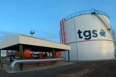 tgs invertira us$3.000 millones en vaca muerta para industrializar gas