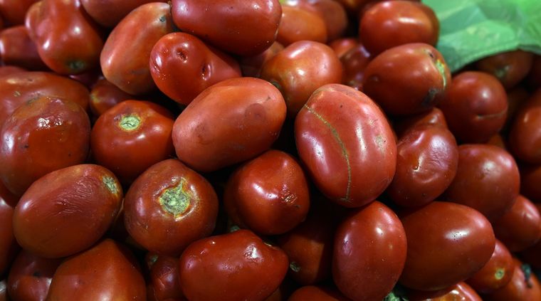 Foto: ALF PONCE MERCADO / MDZ