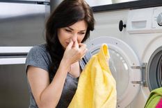 ¿Qué hacer para eliminar el olor a humedad de la ropa? (Shutterstock) Foto: Shutterstock