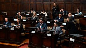 Martín Kerchner fue elegido nuevamente como presidente provisional del Senado. Martín Kerchner fue elegido nuevamente como presidente provisional del Senado.