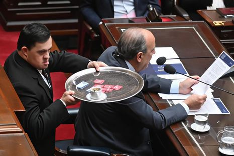 Está previsto que llegue al Senado el proyecto de insistencia de la Ley de Emergencia en Discapacidad. Está previsto que llegue al Senado el proyecto de insistencia de la Ley de Emergencia en Discapacidad.