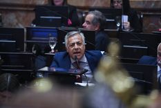 Foto: X @SenadoArgentina Foto: X @SenadoArgentina