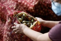 El kilo de cebollas alcanzó los US$11 en Filipinas Foto: ROLEX DELA PENA/EPA-EFE/REX/SHUTTERSTOCK