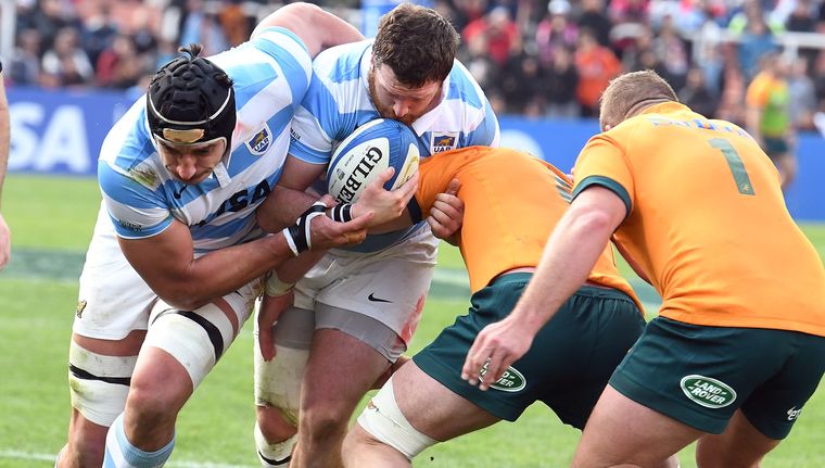 Los sucesivos golpes que reciben los jugadores cada año generan una consecuencia alarmante. Foto: ALF PONCE MERCADO / MDZ