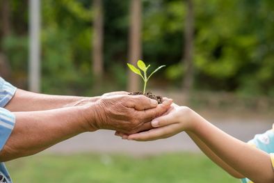 MDZol | El cuidado del medio ambiente es fundamental para la vida en sociedad Foto: Freepik