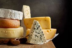 Queso y sus variedades para incluír en la dieta Foto: Shutterstock