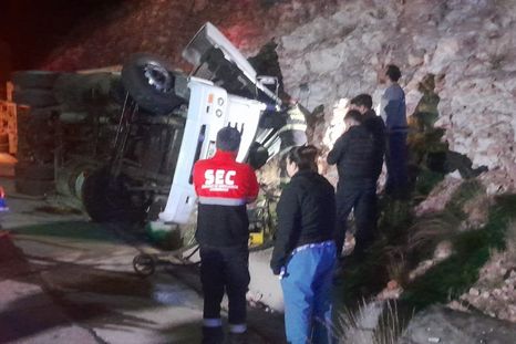 El camión transportaba una carga aproximada de 34 equinos. El camión transportaba una carga aproximada de 34 equinos.