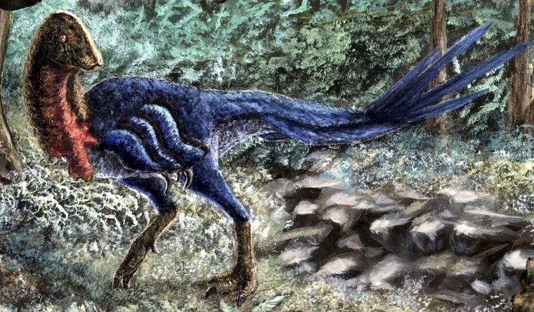Representación de una nueva especie de dinosaurio, Eoneophron infernalis, que se traduce como el pollo del amanecer del faraón. Foto: Dpa.