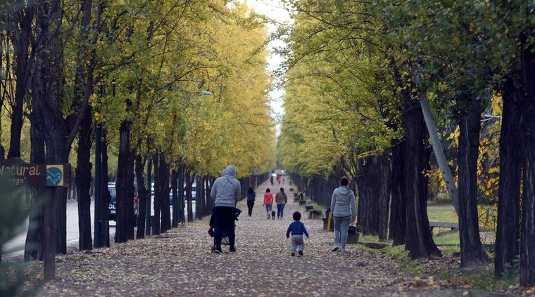 Foto: ALF PONCE / MDZ