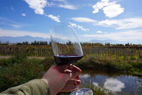 Desde tardes de folclore gratuitas hasta bodegas con promociones desde $15.000: tres planes para disfrutar del Día de la Madre sin vaciar el bolsillo.