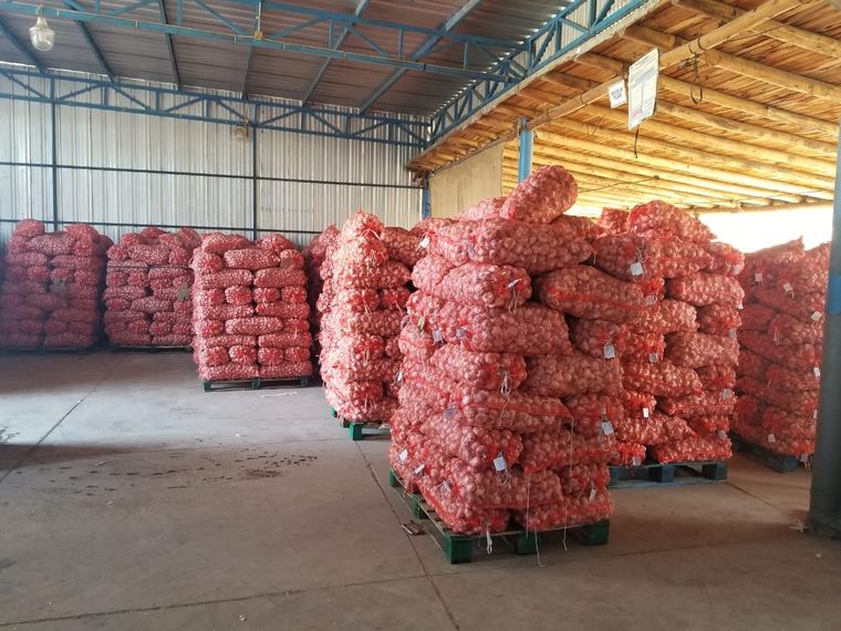 . Foto: Prensa Gobierno de Mendoza