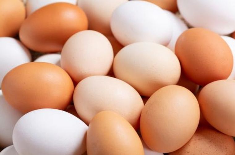 Huevos Cada segundo viernes de octubre es su Día Mundial