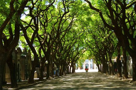 No es el que pensás: un barrio porteño, entre los más trendy del mundo