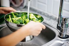 Además de estas técnicas, es importante manipular el brócoli con manos limpias. Foto: Shutterstock