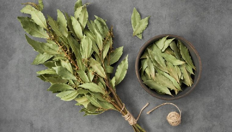 Aprende a hacer un ritual con laurel para alejar las malas energías (Shutterstock). Foto: Archivo