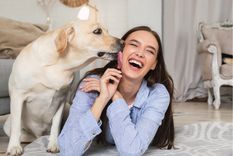 Mascotas Por qué lamen nuestra cara o manos Foto: Shutterstock