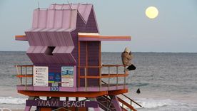 La gente se acercó a las playas de Miami en medio de la ola polar.