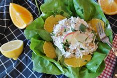 PH RitaE en Pixabay Foto: PH RitaE en Pixabay