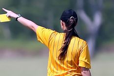 (Imagen meramente ilustrativa) Foto: Pixabay / planet_fox