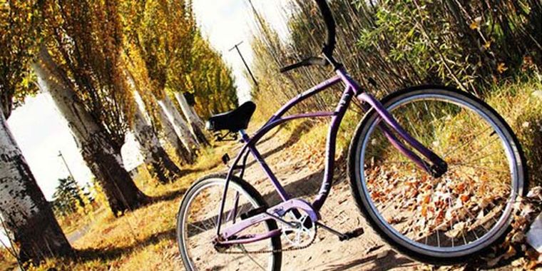 Se alquilan biciletas Foto: Maggie Ojcius / Mediamza.com