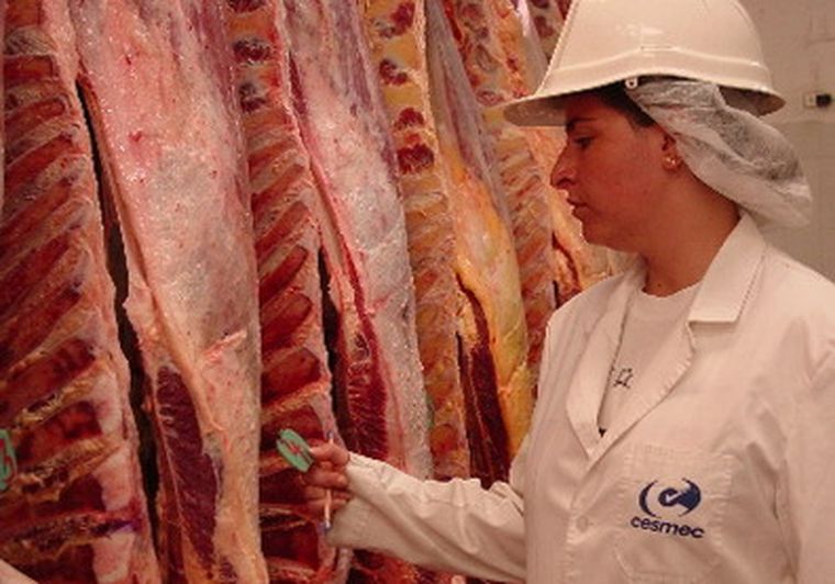 Por el límite en la exportación de carne, Argentina perdió mercado en Chile.