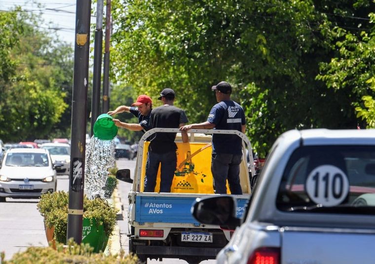 El riego manual en Maipú sorprende a automovilistas y vecinos. Foto: ALF PONCE MERCADO / MDZ