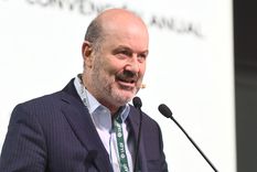 Foto: Santiago Tagua/MDZ