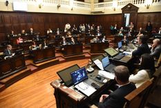 El recinto legislativo mendocino Foto: X @JimehLatorre