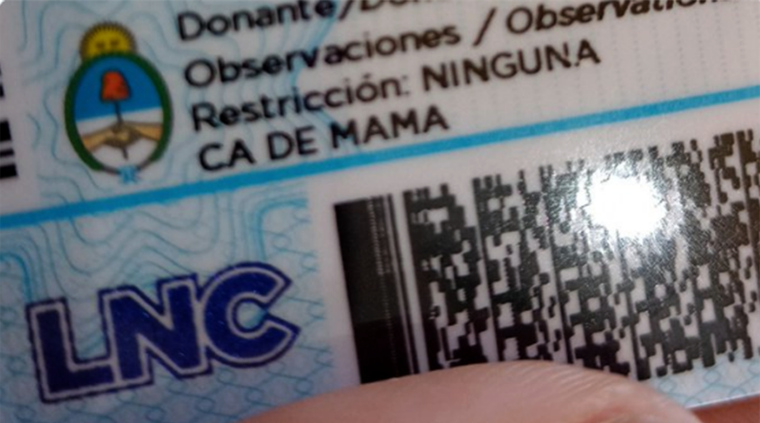 Verano 2026: ¿Qué documentos son obligatorios para circular por las rutas argentinas?