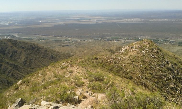 El Jarillal del Piedemonte, el área de la disputa Foto: Archivo MDZ.