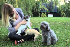 la millonaria inversion de nicole neumann para sus perros
