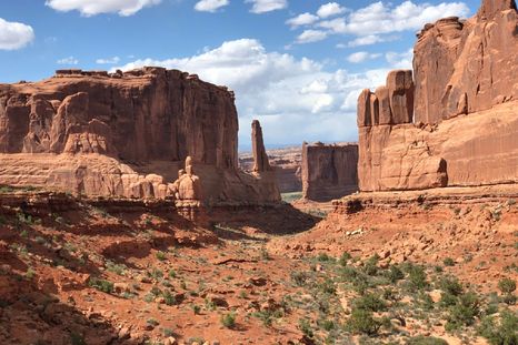 Este maravilloso paisaje se encuentra en la Región de Cuyo Foto: Shutterstock