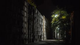 La Ciudad de Mendoza invita a vivir “Rituales del Alma” en una noche especial. La Ciudad de Mendoza invita a vivir “Rituales del Alma” en una noche especial.