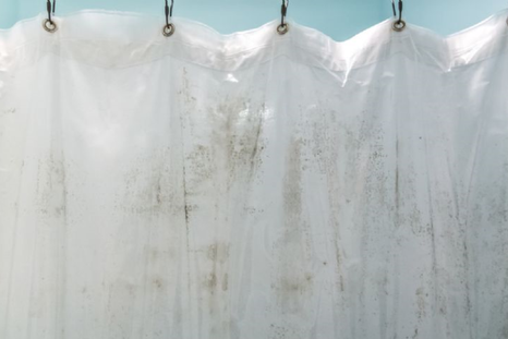 Es muy común que el moho se impregne a las cortinas del baño Foto: Shutterstock