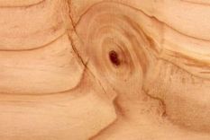 fascinante stop-motion hecho con una madera