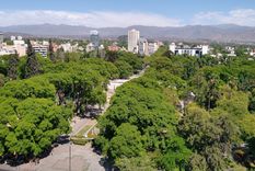 El arbolado de Mendoza fue evolucionando según las necesidades Foto: Prensa Gobierno de Mendoza