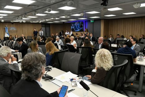 La comisión especial que investiga el caso del fentanilo contaminado en la Cámara de Diputados escuchó este lunes los testimonios de médicos, directivos y familiares de las víctimas. La comisión especial que investiga el caso del fentanilo contaminado en la Cámara de Diputados escuchó este lunes los testimonios de médicos, directivos y familiares de las víctimas.