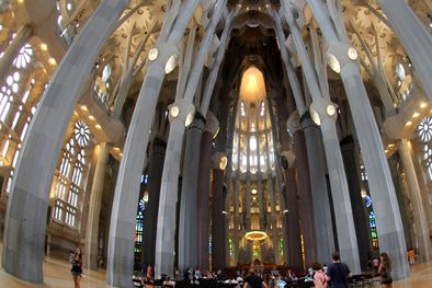 MDZol | Foto: trumbl.com